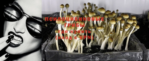 мяу мяу мука Верхнеуральск
